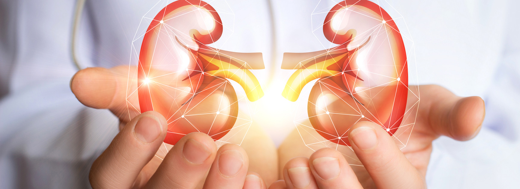 Prevención, diagnóstico y tratamiento de la enfermedad renal crónica temprana en el primer nivel de atención