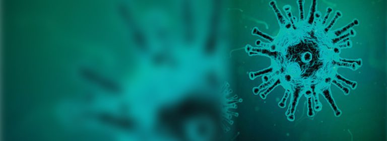 Enfermedad por coronavirus 2019 (COVID-19)
