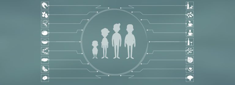 Nutrición en las diferentes etapas de la vida