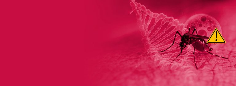 Prevención, diagnóstico y tratamiento del dengue
